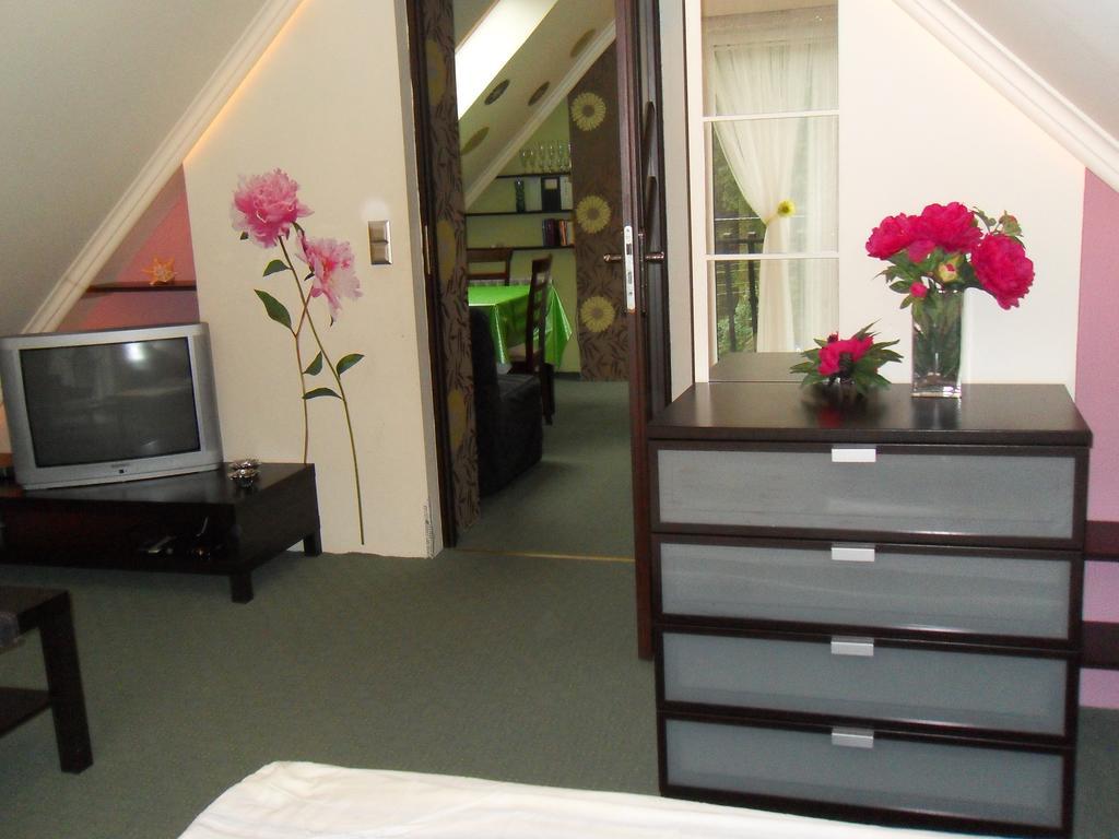Apartamenty Grapa Szum Rzeki Parking Free Wisla Room photo