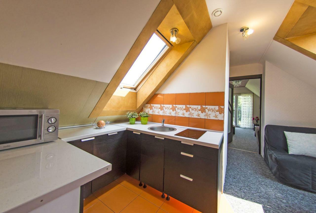 Apartamenty Grapa Szum Rzeki Parking Free Wisla Exterior photo